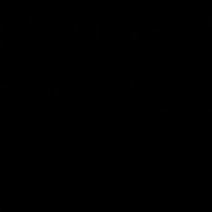 Meet your Posher, Camiyah